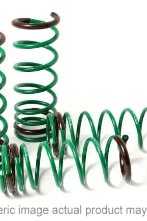 Best Price Tein Replacement Straight Spring (pair) — PMD Premier Motoring Development