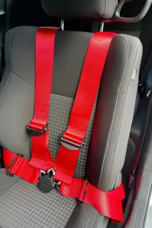 4-Point Camlock Elite Racing Harness Belt; Black Editor’s Pick