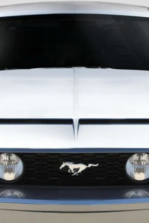 New Release Duraflex GT500 V4 Hood EXT 115791