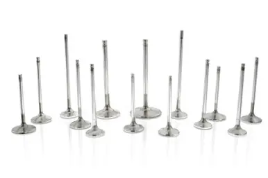 Ferrea Chevrolet LS8 2.02in 0.3135in 4.9in 12 Deg S Flo Rad Grv 6000 Series Intake Valve - Set of 8 - F6231 Buy Online