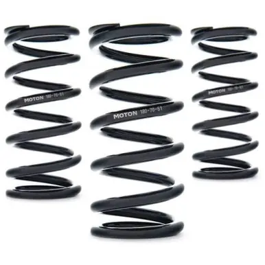 AST Linear Race Springs - 150mm Length x 110 N/mm Rate x 61mm ID - Set of 2 - AST-150-110-61 Shop Now