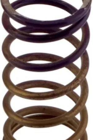 Turbosmart Gen-V WG60 5psi Purple Inner Spring Final Sale