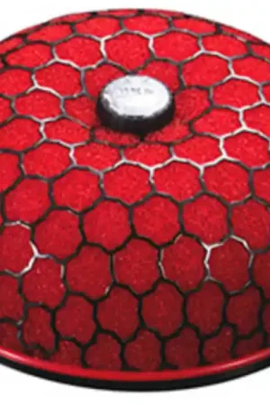 Buy Online HKS SPF ASSY 200-100 Wet 2row (RED)