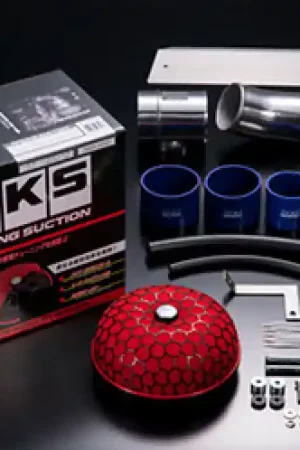 Viral HKS RS ZC32S SWIFT SPORT M16A