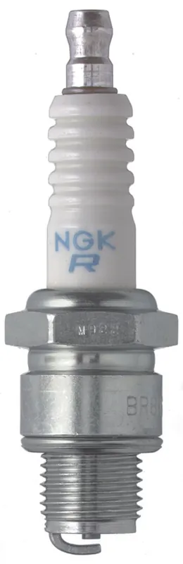 Viral NGK BLYB Spark Plug Box of 6 (BR6HS)